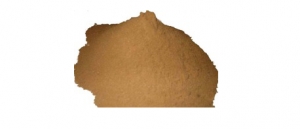 Manufacturers Exporters and Wholesale Suppliers of Acid Cellulase Powder Surat Gujarat